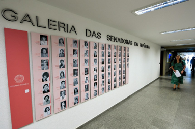 Doze mulheres são eleitas para o Senado