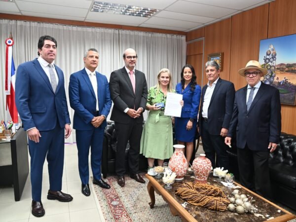 Ivana recebe parecer sobre contas do governo e proposta de mudanças no TCE-BA